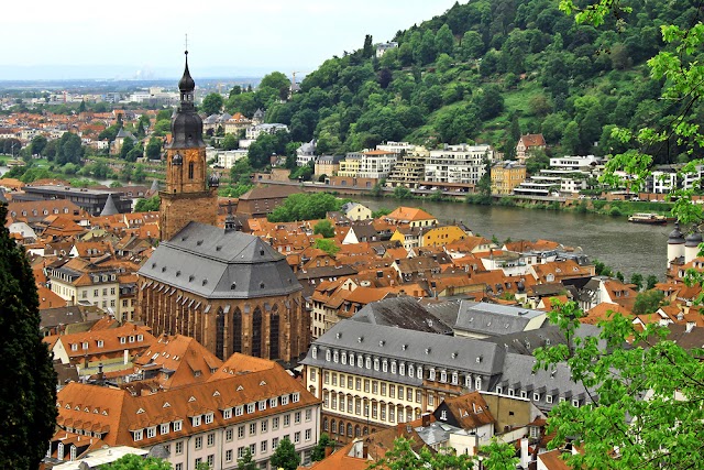 Agentur May Heidelberg: Kreative Lösungen für Ihr Unternehmen