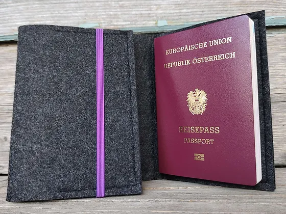 Hülle für Reisepass
