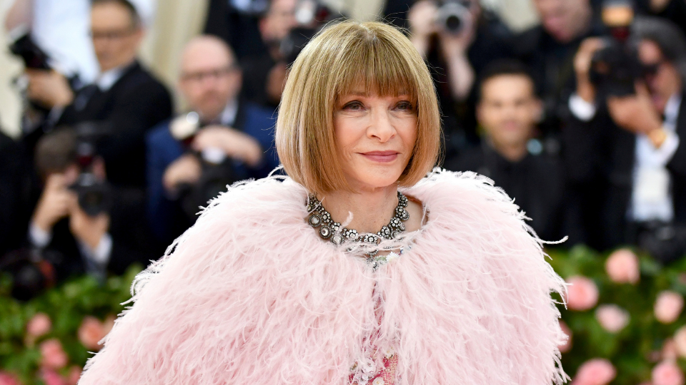 Anna Wintour Vermögen